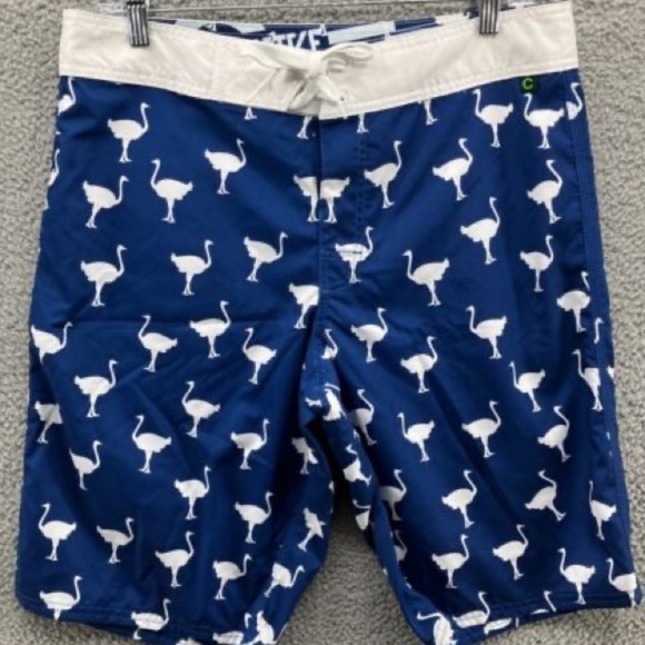 ⭐️Chivery,Chive-On,Swim Trunks, Excellent Condition,Fantastic Bird Print,Size 36 - Picture 5 of 9